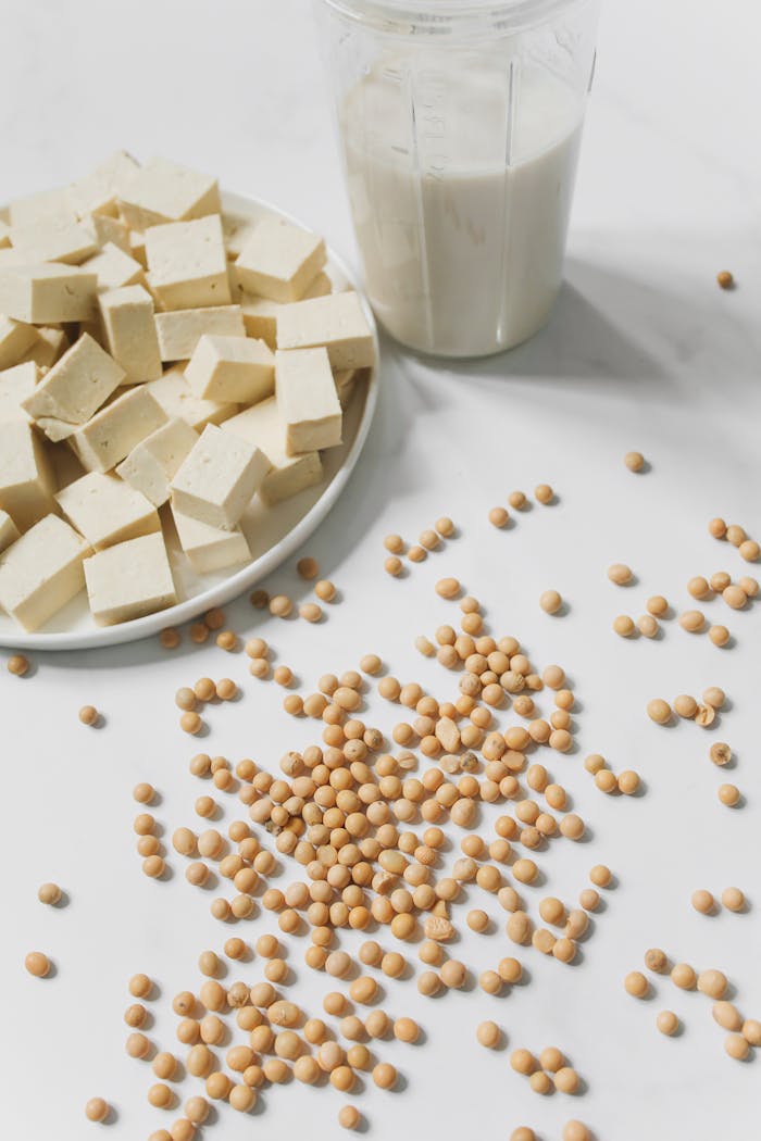 A healthy spread of tofu cubes, soybeans, and soy milk against a clean white background.